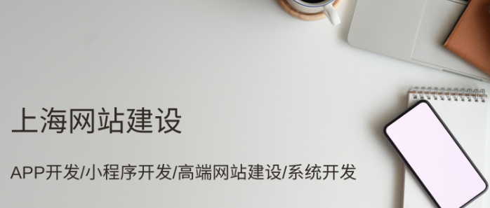 上海網站開發(fā)